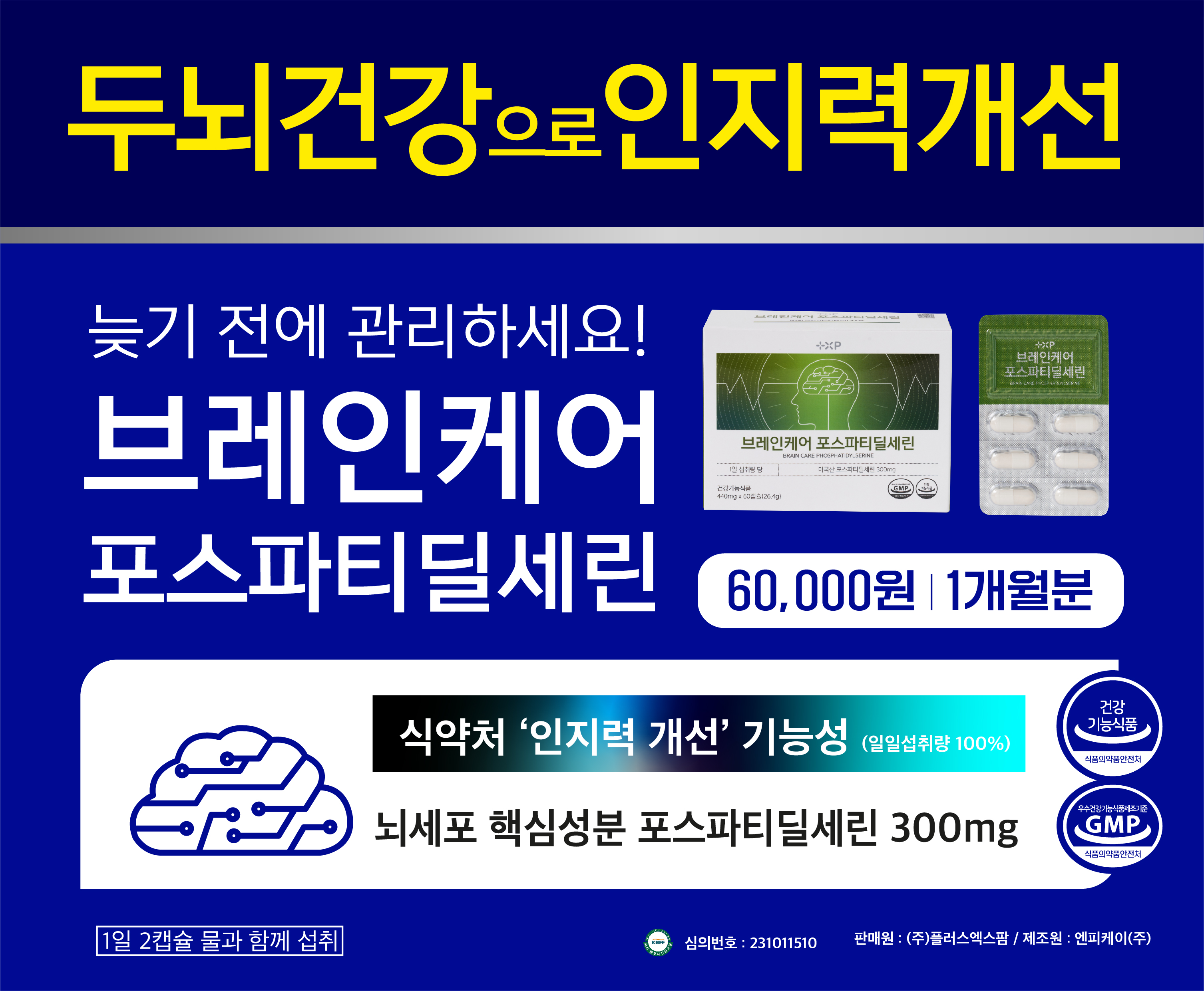 두뇌 건강 브레인케어 포스파티딜세린 뇌 건강 기억력 집중력 인지력 개선 기능성 : 꿀개미 약사