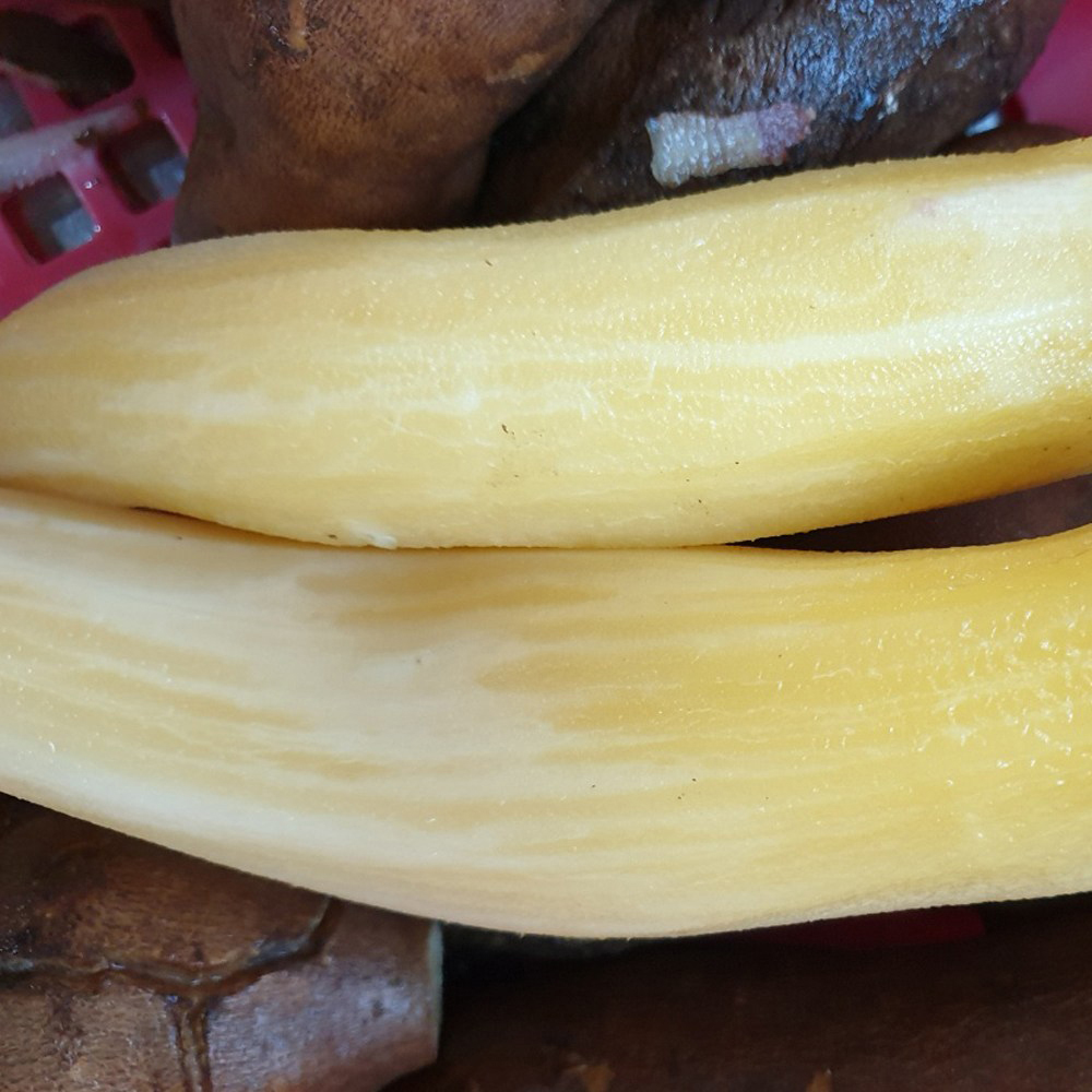 봉다리셰프 짭조름한 맛에 자꾸만 손이가는 밥도둑 야콘장아찌 : 봉다리셰프