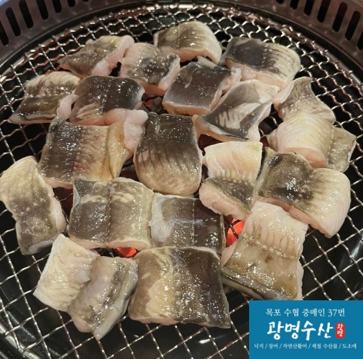 구이용 아나고 손질전 1키로 필렛 자연산 바다장어 붕장어 순살 세꼬시 숙성회 활어 : 목포 광명수산
