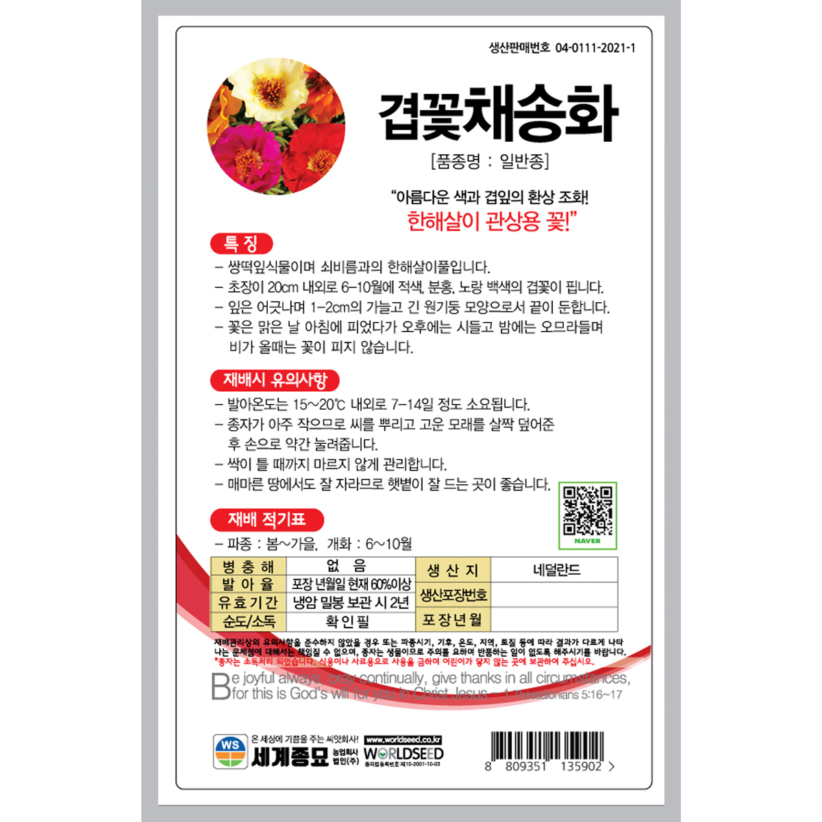 꽃씨 겹꽃채송화 1000립 여름 개화 꽃 봄파종 다년생 노지월동 씨앗 종자 : 모두의 방주