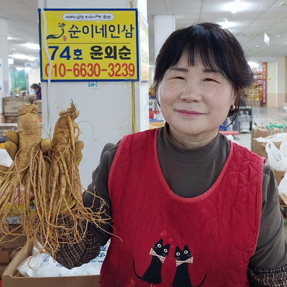 인삼 수삼 금산 순이네 난발삼 500g 세척 : 금산 순이네 인삼