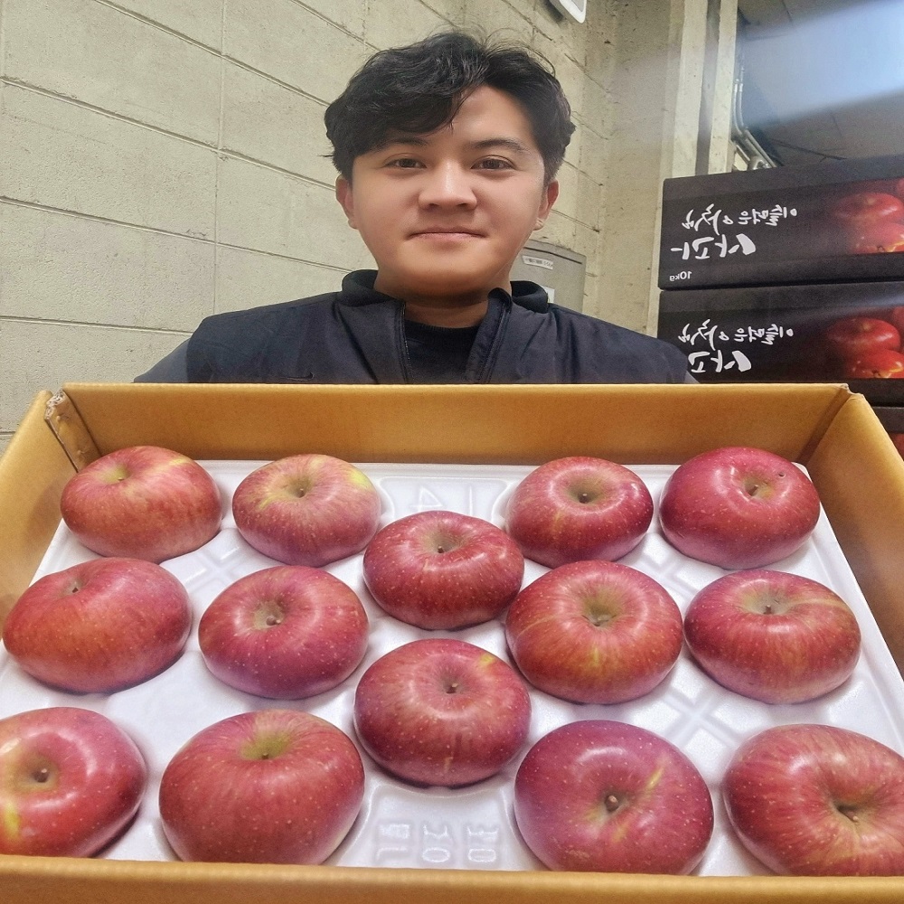 청송 사과 세척 사과 못난이 사과유명한곳 안동 엔비 쥬스용 10kg 5kg 3kg : 가락시장 목포상회 과일