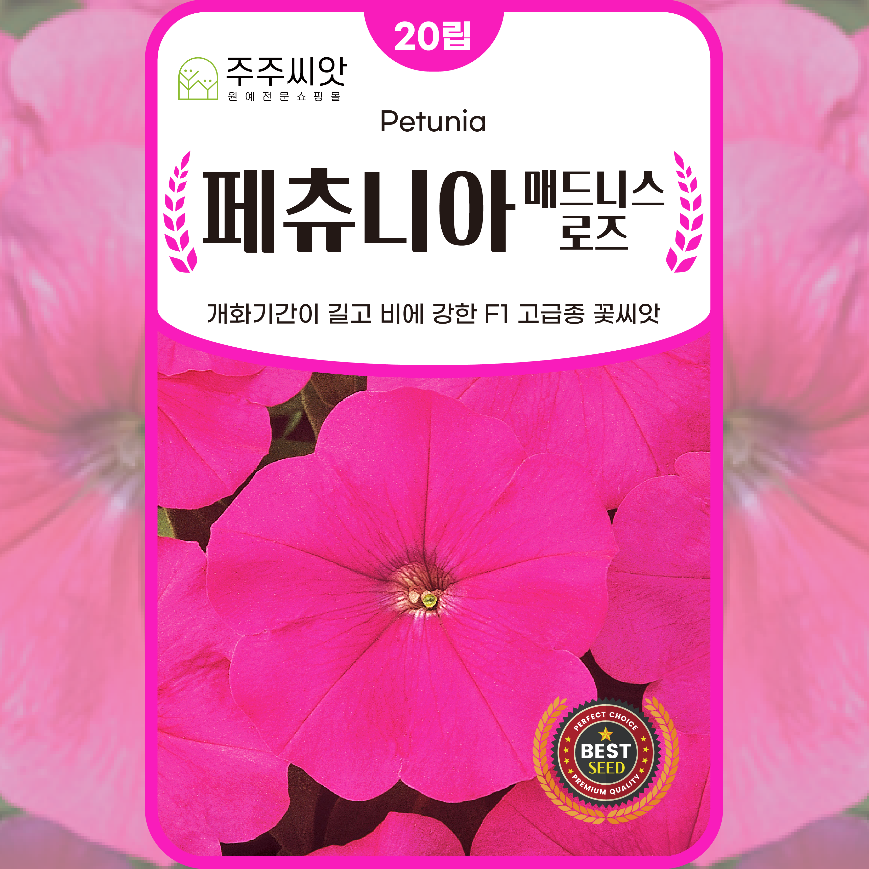 페츄니아 씨앗 20립 매드니스로즈 페튜니아 피튜니어 종자 꽃씨몰 봄 여름 가을 꽃씨앗 : 주주씨앗