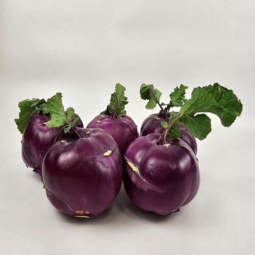 [최저가도전]재구매율1등 아삭달큰 초고당도 제주콜라비 상세사진 2