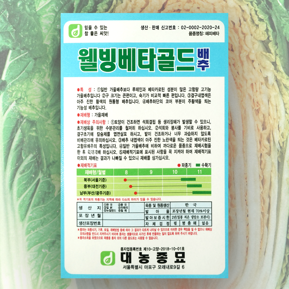 배추 씨앗 웰빙베타골드배추 500립 한국대농종묘 배추 종자 가을배추 : 대농종묘