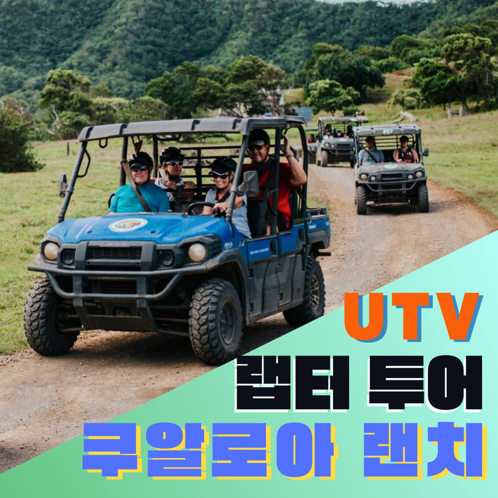 미국 하와이 쿠알로아랜치 UTV 랩터 2시간 투어 : 글로벌 원투어