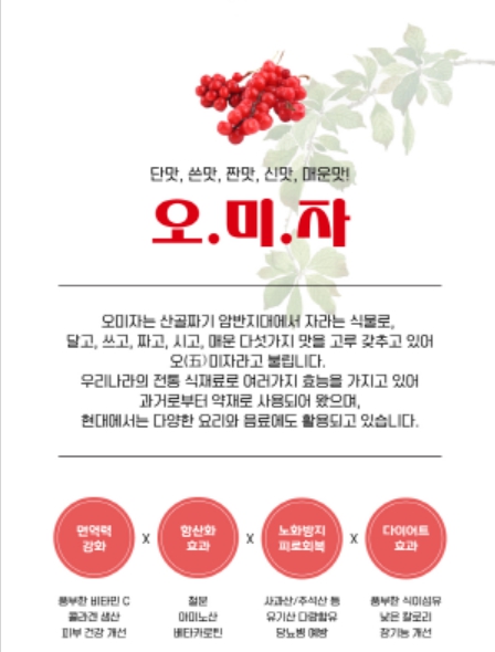 오미 드레싱 소스 숙성 농축액300g산고을농원 : 산고을 농원 순담 오미자