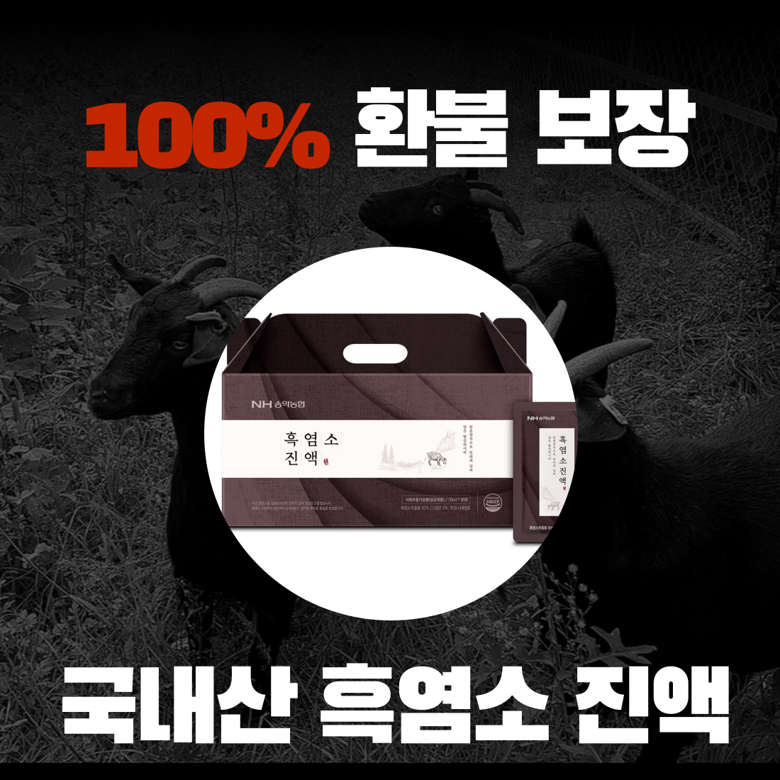 흑염소 진액 엑기스 100%환불 보장 구정 설 선물 국내산 흑염소진액 당일 배송 무료 배송 (70ml x 30포) : 나무꾼의 비밀 곳간