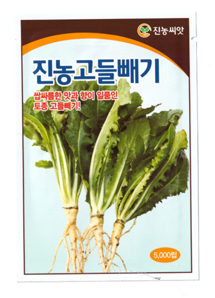 고들빼기씨앗 5000립 토종고들빼기종자 : 도시농부마켓