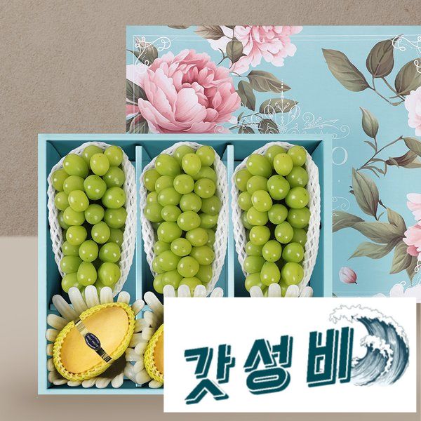 (인정) 오늘의과일 머스켓 + 필리핀 : 태양소리