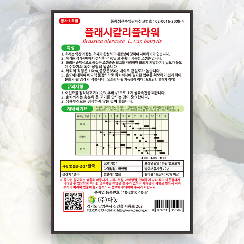 플래시칼리플라워 씨앗 100립 다농 컬리플라워씨 종자 : 대농종묘