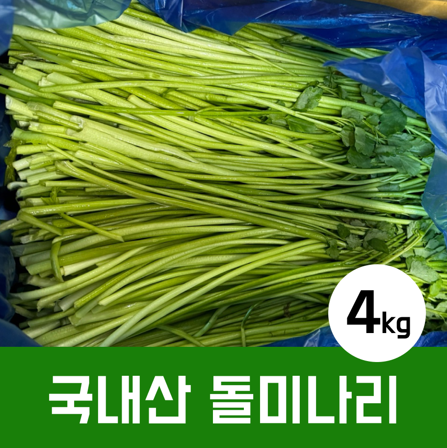 돌미나리 제철 국내산 4kg 당일수확 미나리 특등품 : 가락은혜상회