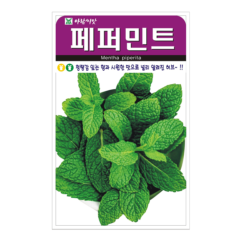 페퍼민트 200립 허브 바질 꽃씨 꽃 씨앗 종자 모종 텃밭 주말농장 아람종묘 그린종묘농약사 : 허수아비정원