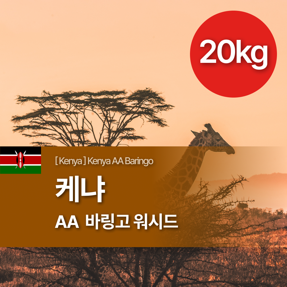 [B2B커피생두] 케냐 바링고 AA 워시드 20KG : 파스칼 빈스