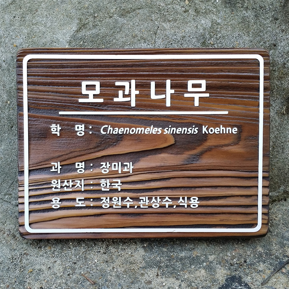 수목표찰 140X105단색 나무꽃이름표 텃밭 화단 정원 원목표지판 식물원 작물표시 : 에칭월드
