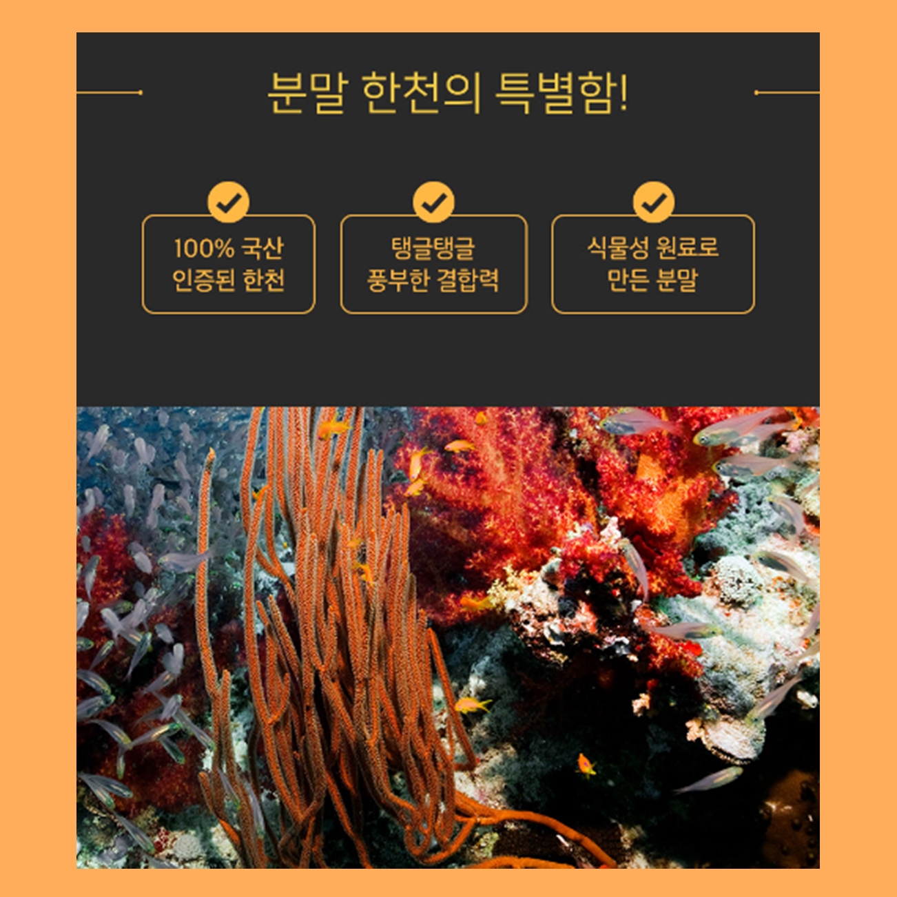 한천 가루 젤리 푸딩 도토리 묵 만들기 400G : 선아슈퍼