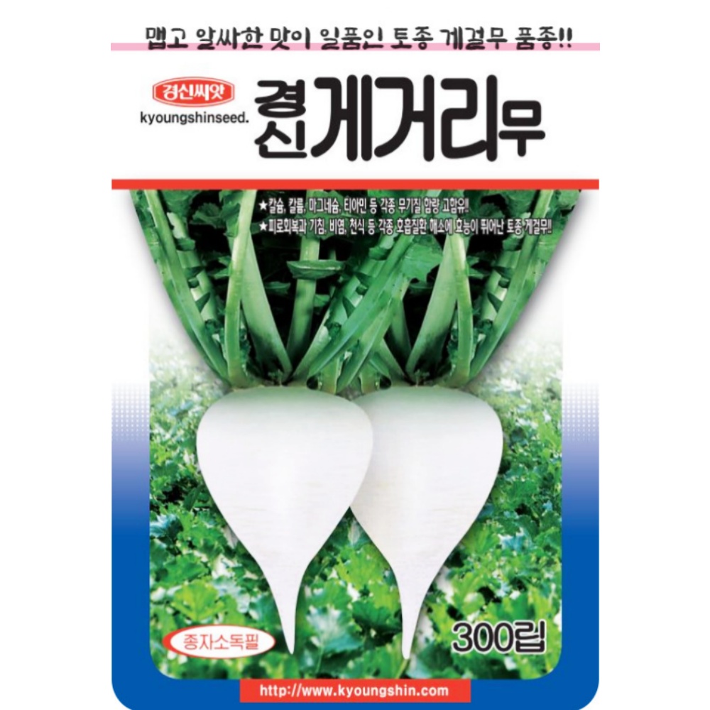 게걸무씨앗 채소 토종무 씨앗 무씨 종자 : 모두싹판다