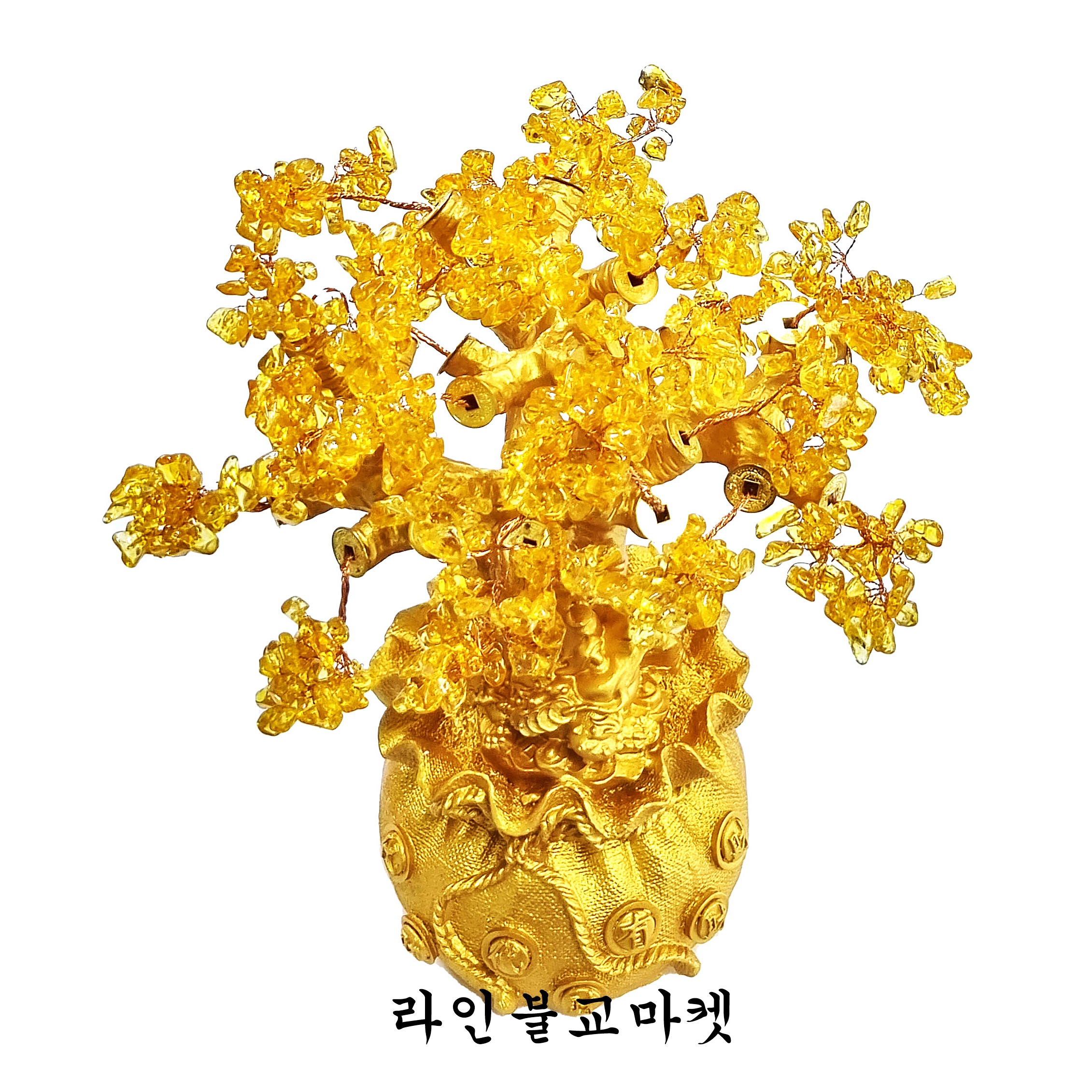 황수정 돈나무 황금복주머니돈나무 엽전돈나무 금전수 행운목 재물 인테리어소품 : 라인불교마켓