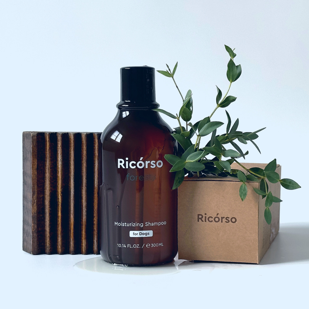 리꼬르소 수분 보습케어 세트 벨베티 에센스 50ml+포레스티 모이스쳐 샴푸 300ml : 리꼬르소
