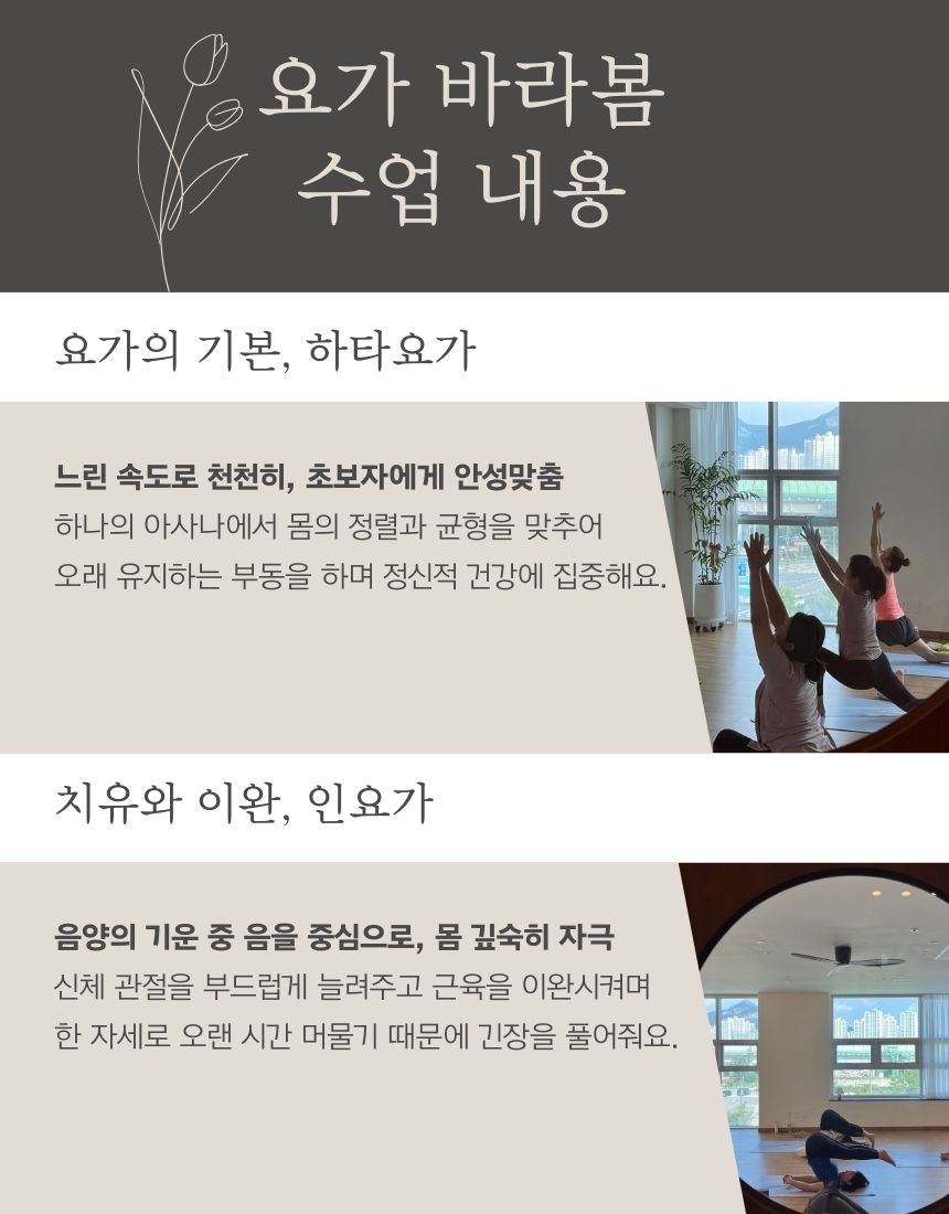 [요가바라봄] 주 3회 / 3개월 수강권 : 요가 바라봄