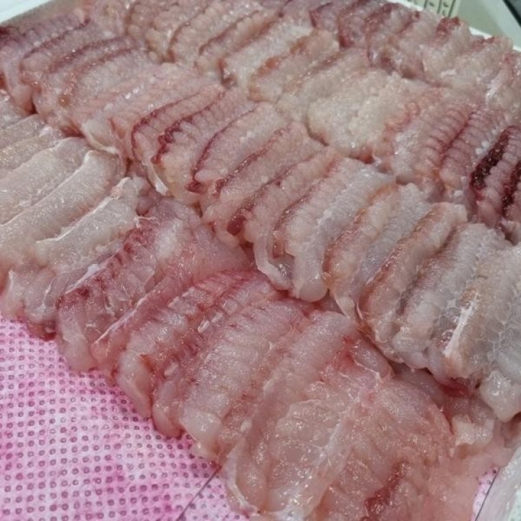 흑산도 국내산 500g 생홍어 홍어 국산 : 클레이맥