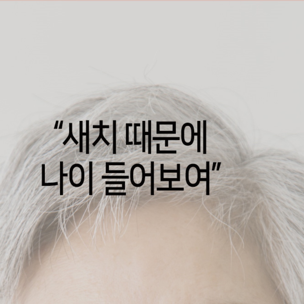 새치커버스틱 새치염색 헤어마스카라 헤어라인쉐도우 : 라꼼제이몰