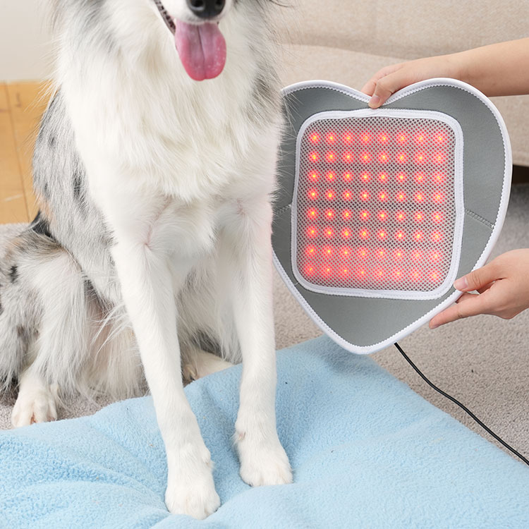시리어스펫 슬개골 따땃패드 강아지 고양이 디스크 근적외선 온열 찜질 조사기 : 시리어스펫