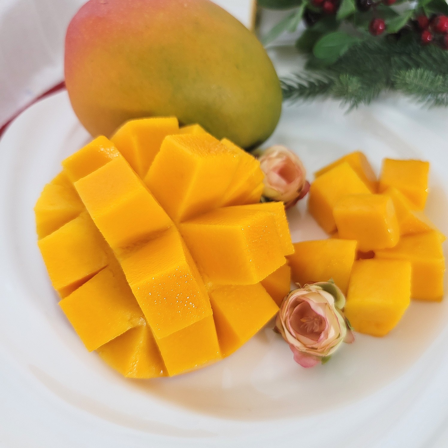 페루 애플망고 벌크 선박 4kg (10과) : 벨라맘마 마켓