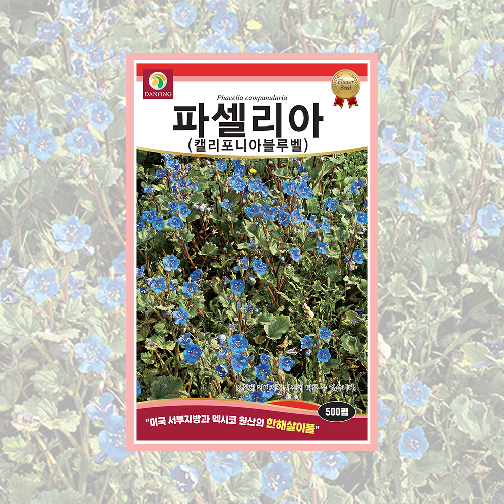 파셀리아(켈리포니아블루벨) 500립 야생화씨앗 (다농) : 씨앗나래
