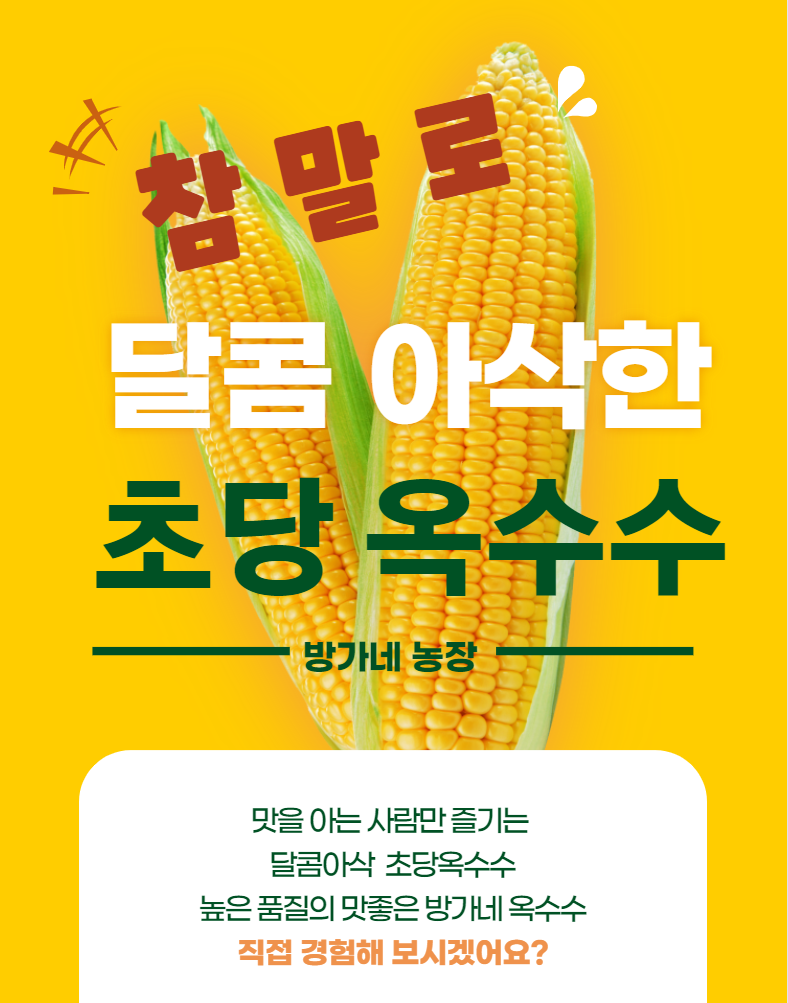 [원일상회]달콤한 초당옥수수 : 농업회사법인 주식회사 원일