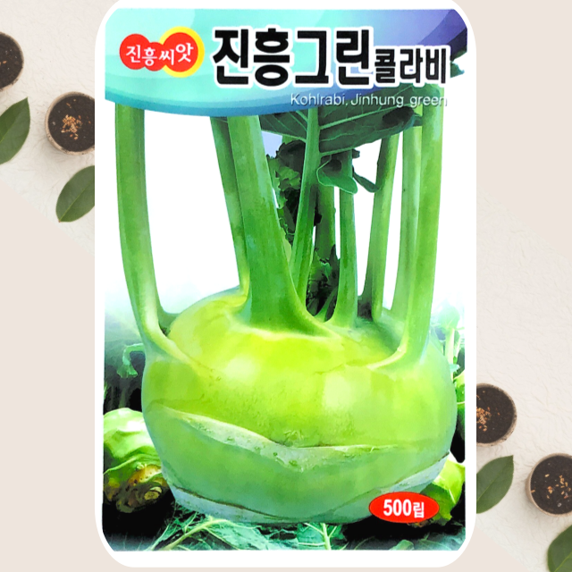 그린콜라비씨앗 500립 콜라비 씨앗 종자 진흥종묘 : 식물세계