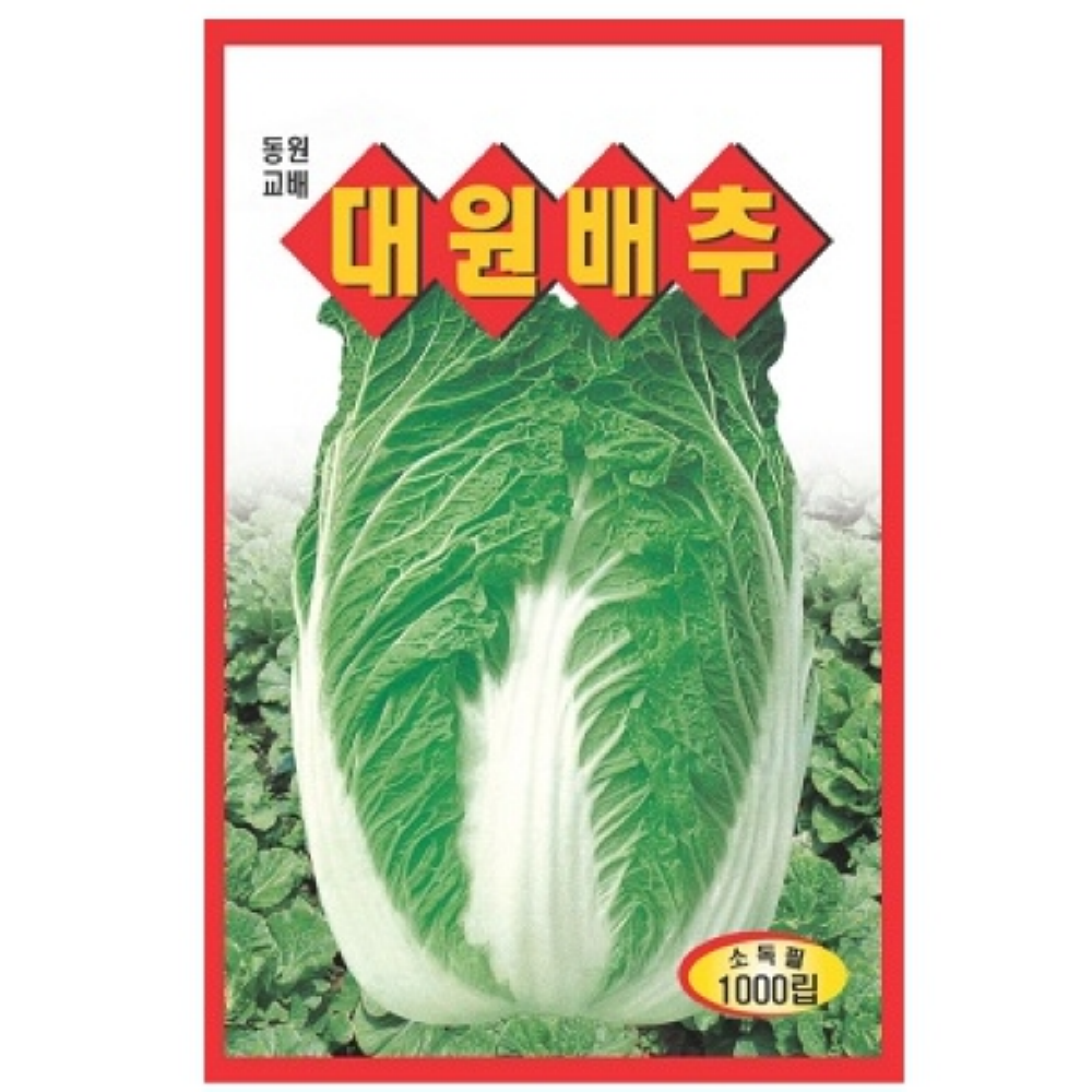 경제적인 대원배추 씨앗 1000립 : 녹색그린농산