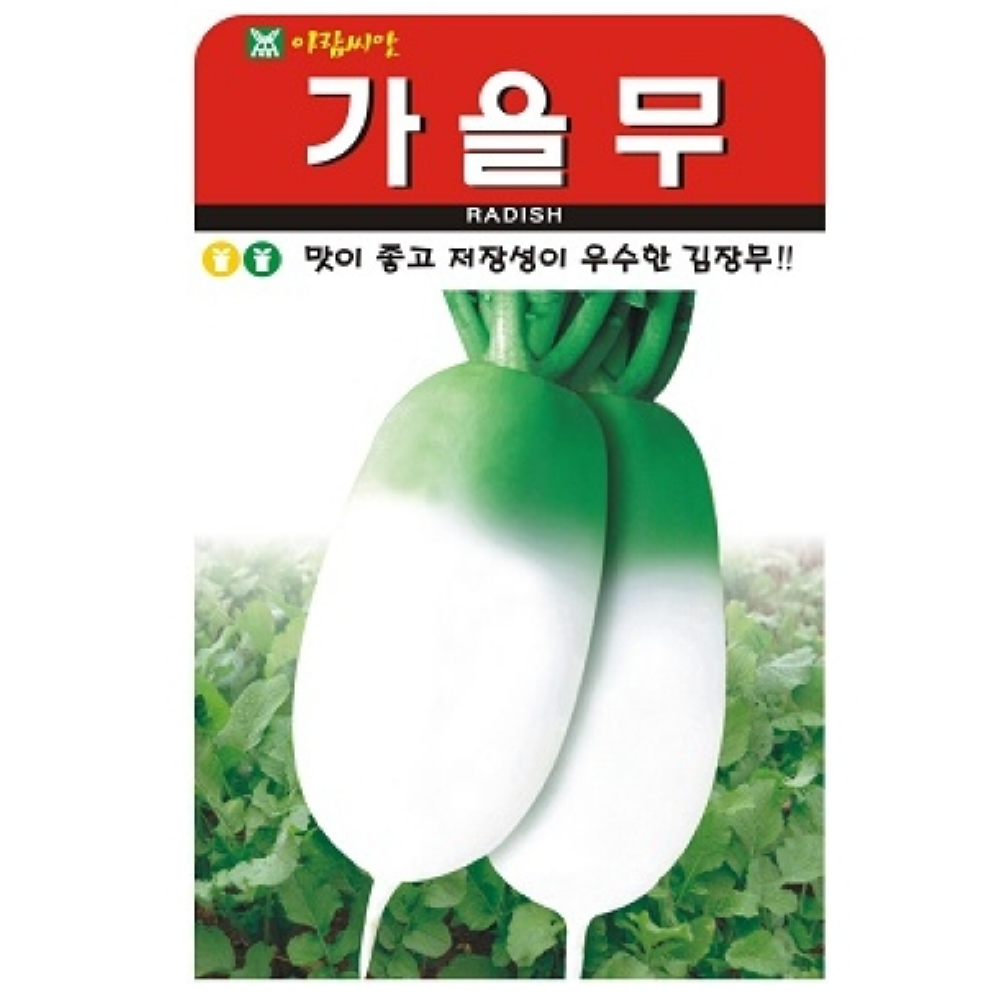 최고의 종자 주말농장 재배에 맞춤 가을무 씨앗 300립 : 녹색그린농산