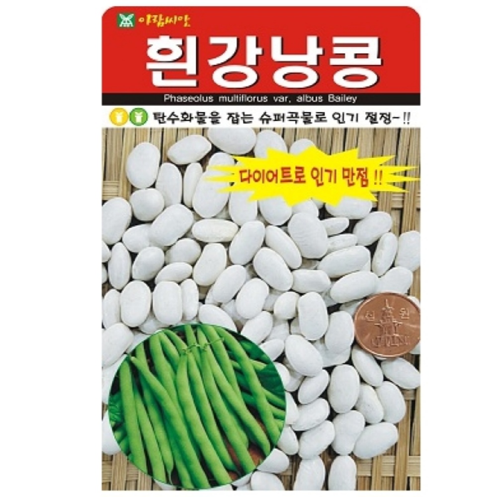 다이어트 효과 흰강낭콩 씨앗 30g : 녹색그린농산