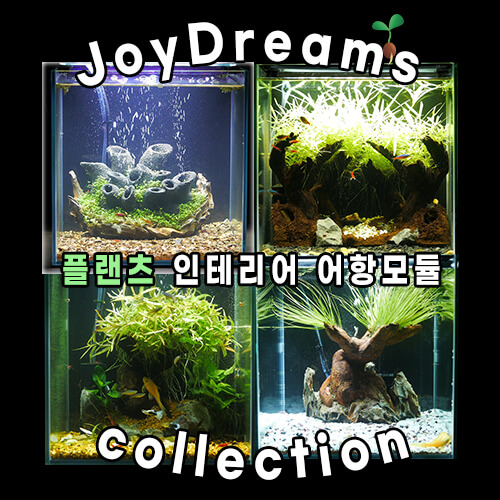 무환수 미니 어항 모듈 수초 물고기 새우 키우기 : 제이디에스 컴퍼니