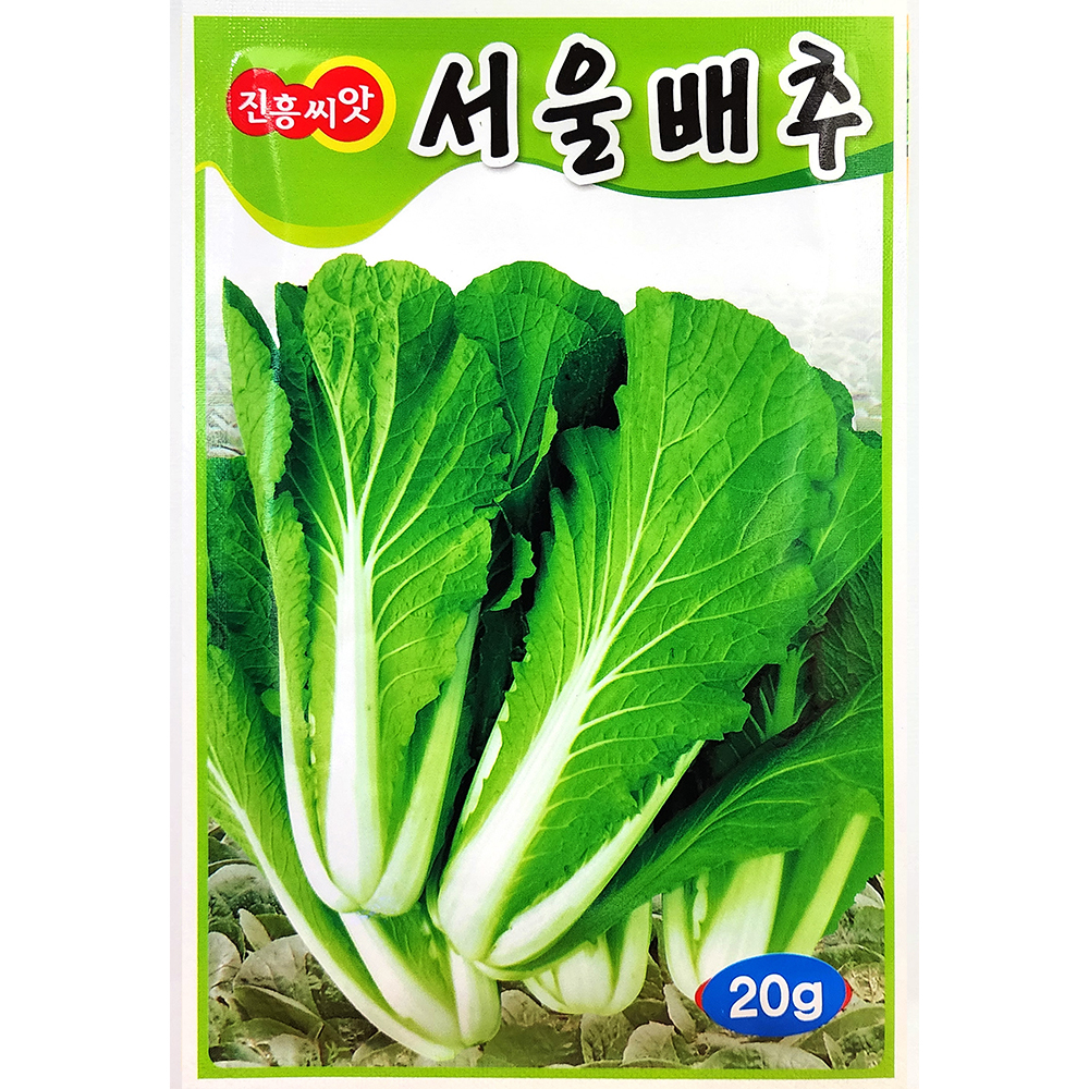 서울배추 20g : 중앙종묘농약사