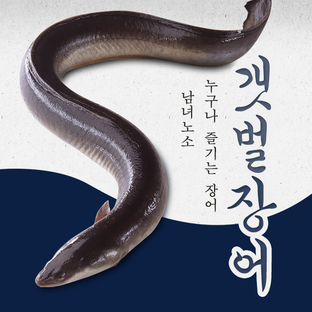 뚝방수산 강화도 갯벌장어 1kg 장어 생물 손질 후 700g~750g : 뚝방수산