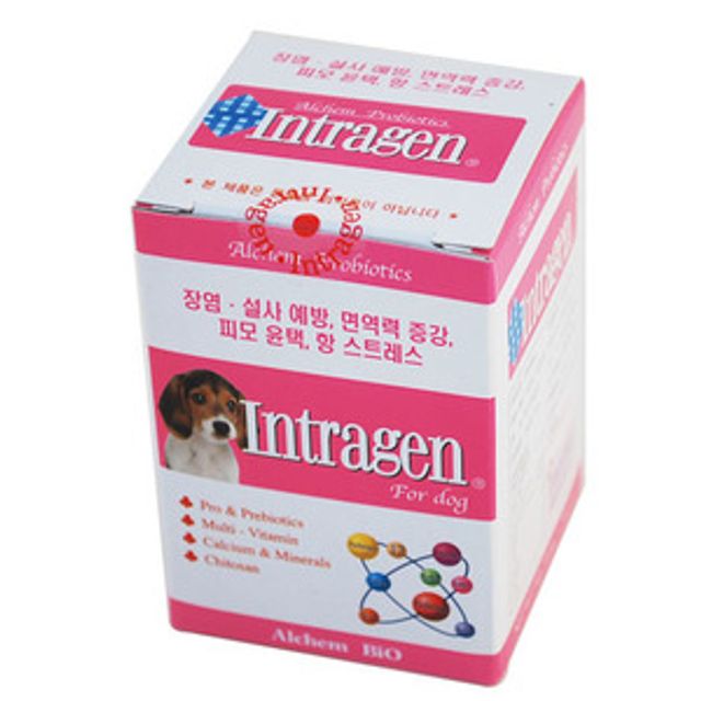 인트라젠정 200정 애견 강아지 영양제 눈물 강아지 관절 유산균 애견관절 간식 강아지눈 고양이 : 실성유통