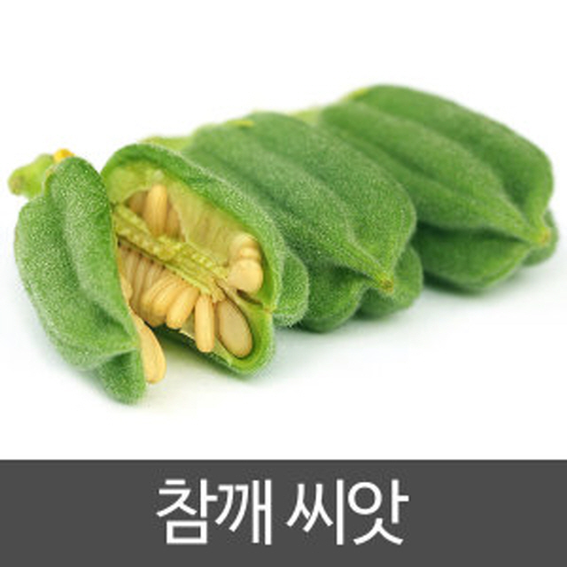 gr참깨 씨앗 재래종 토종 들깨 종자 기름 씨 1000알 : 신가네