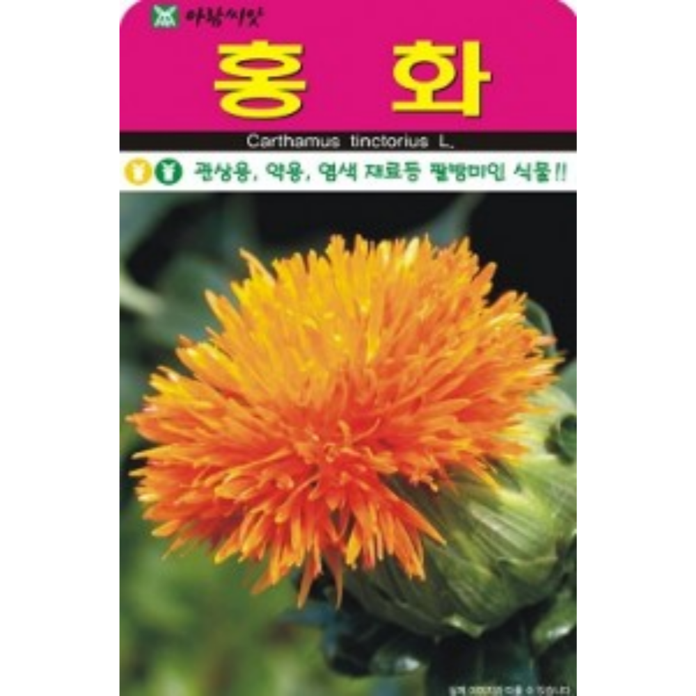 홍화씨앗 홍화종자 100립 홍화씨 고급 야생화씨앗 : 친환경식물 키움스토어