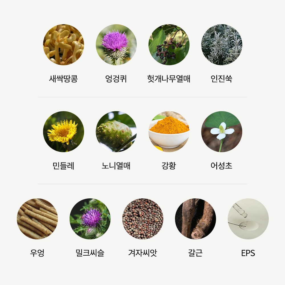 숙취해소제 알약 숙취해소 라스베라트롤 레스베라트롤 레스베라톨 헛개나무열매 갈근 바로쌩쌩 : 레알마트