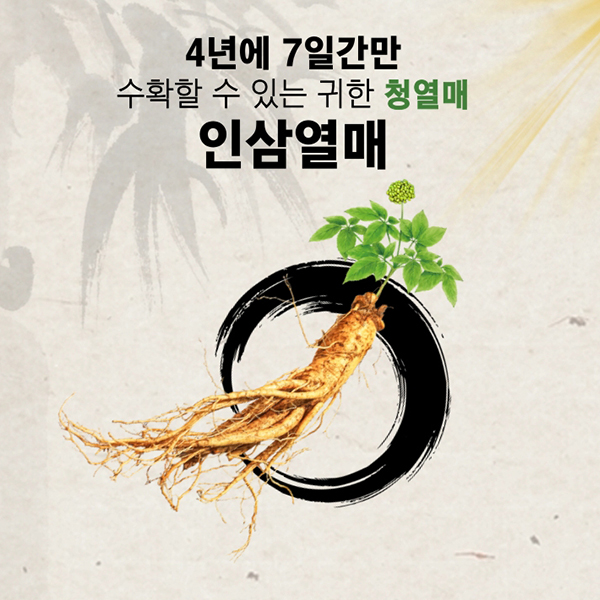 기력증진 솔루션 진생베리 인삼열매 천년수작 500mgX2정X60포 : 에이치제이더블유