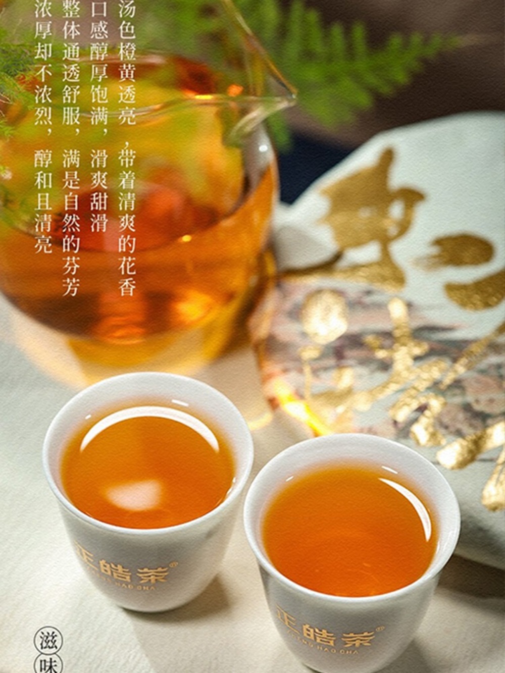 정호차 운남 월광 백차 동방 고급차 선물세트 357g : 로이직구