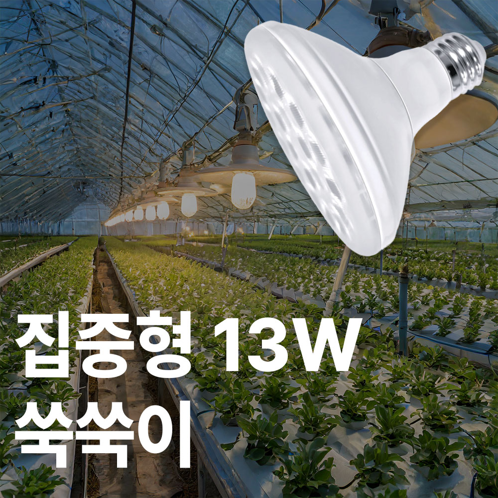 데이온 LED 식물 성장 조명 13W 파30 텃밭 상추 생장등 특허제품 : 주식회사 안트