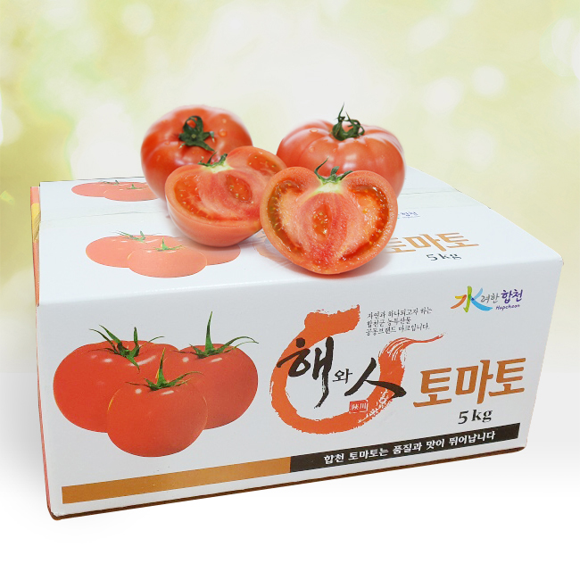 동양종 별똥별 완숙 토마토 5kg 단단한 최상품 no스테비아 : 지엔베스트