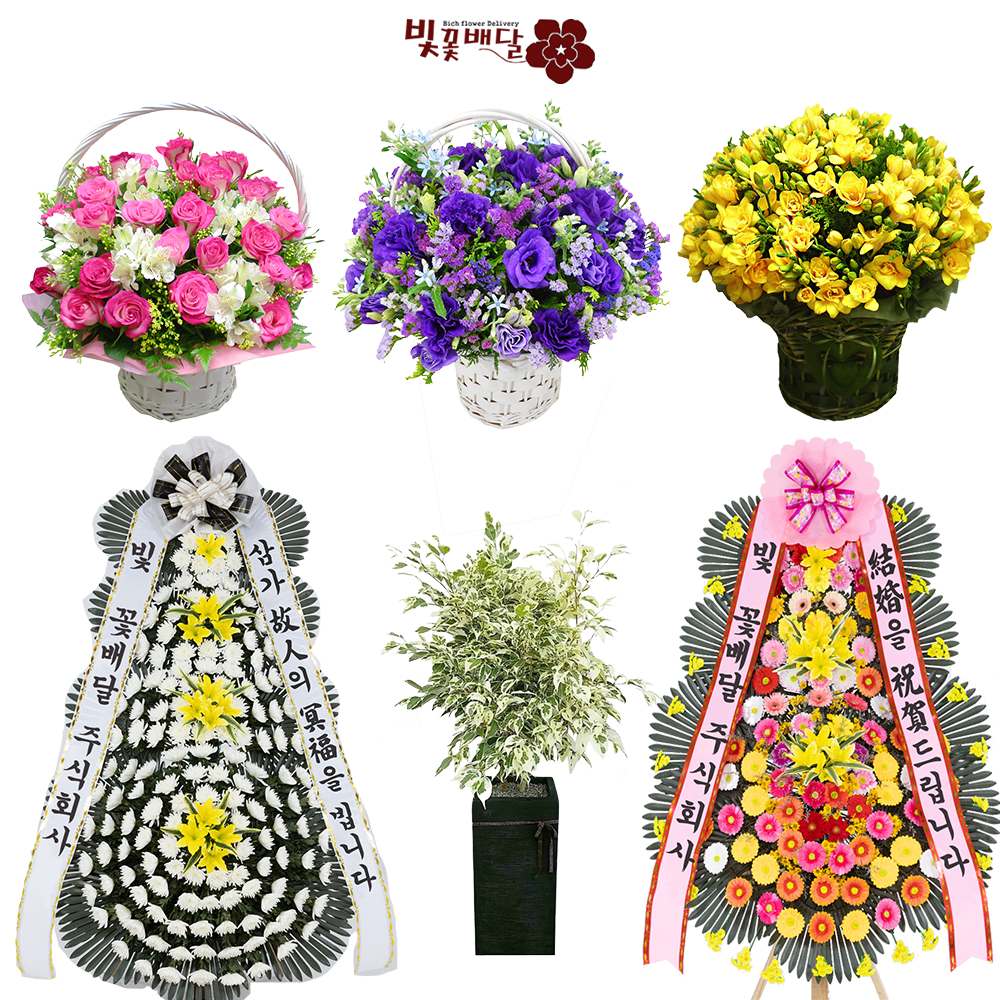빛꽃배달 근조화환 꽃바구니 : 근조화환 카네이션 꽃바구니