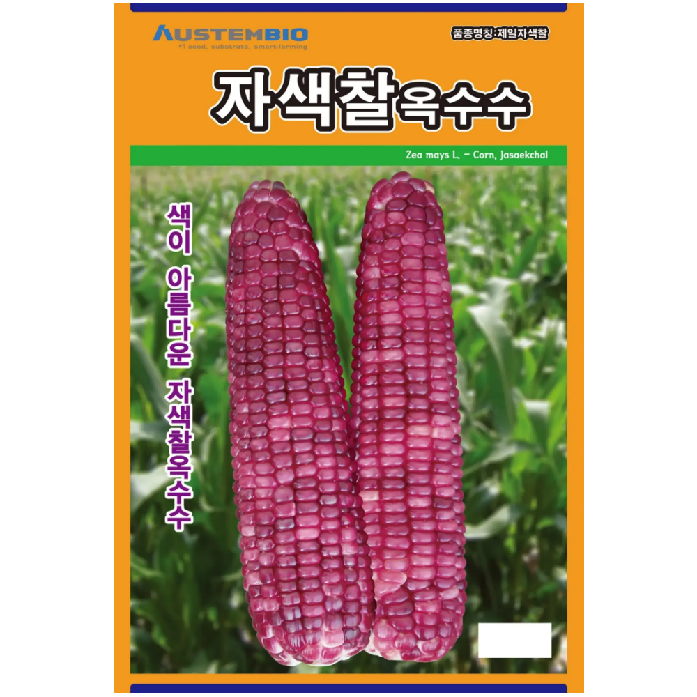 오스템 자색찰옥수수씨앗 80립 찰옥수수씨 종자 : 씨앗을 부탁해