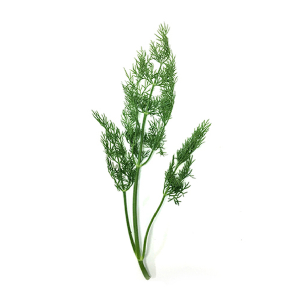 생 허브 딜후레쉬 30g 국산 : 퓨어푸드 PureFood
