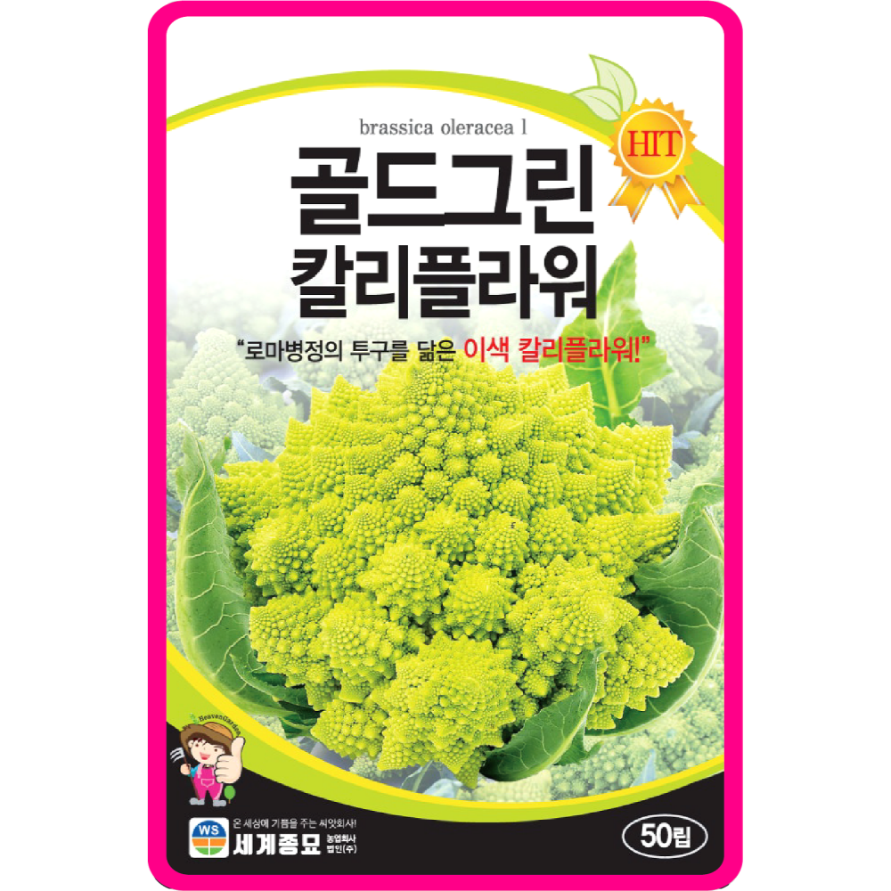 칼리플라워씨앗 50립 / 골드그린 브로콜리 종자 쌈 채소씨앗 키우기 : 아진종묘 꽃씨몰