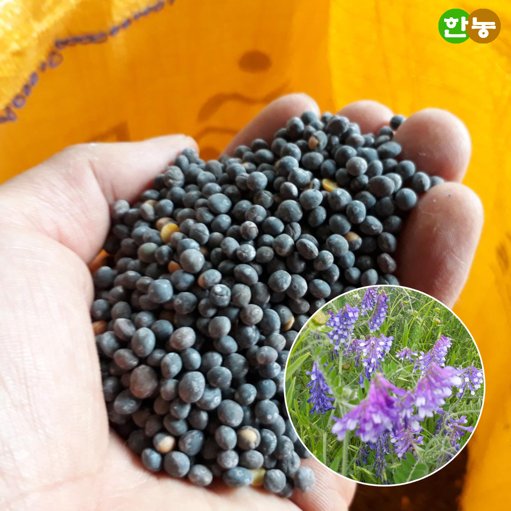 헤어리베치 씨앗 10kg - 한농마트 씨앗몰 종묘사 : 한농마트